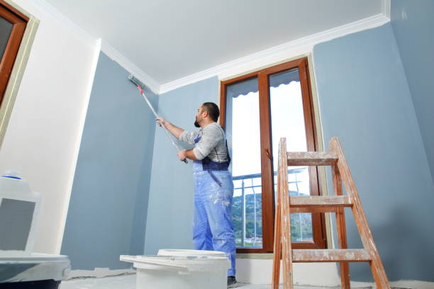 Best Mold Prevention Services  in Bangor, WI