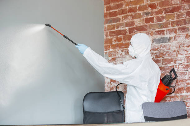Best Dehumidification Services  in Bangor, WI