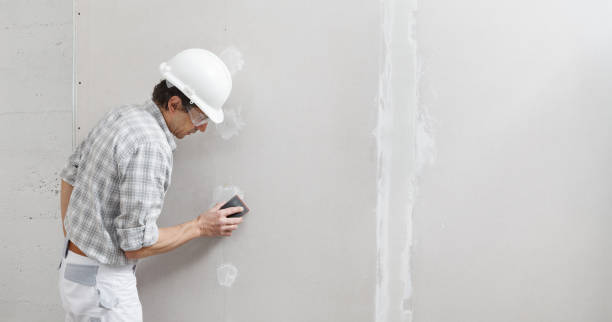 Best Emergency Mold Remediation  in Bangor, WI