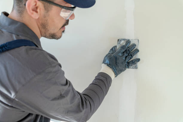 Best Residential Mold Inspection & Testing  in Bangor, WI