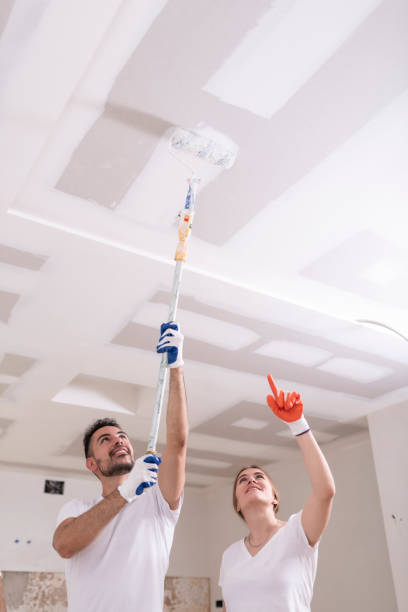 Best Airborne Mold Testing  in Bangor, WI