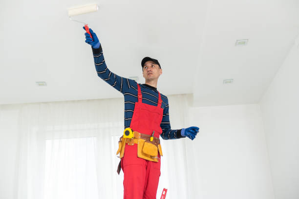 Best Comprehensive Air Testing for Mold Contaminants  in Bangor, WI